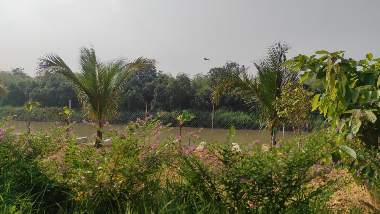 Homestay Dat Viet Cát Tiên Ngoại thất bức ảnh